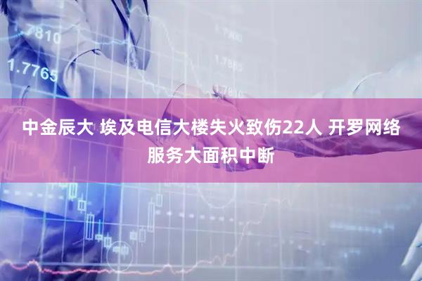 中金辰大 埃及电信大楼失火致伤22人 开罗网络服务大面积中断