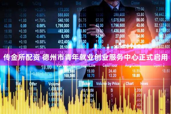 传金所配资 德州市青年就业创业服务中心正式启用