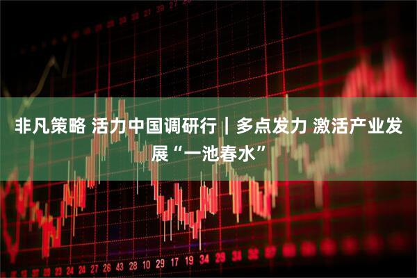 非凡策略 活力中国调研行｜多点发力 激活产业发展“一池春水”