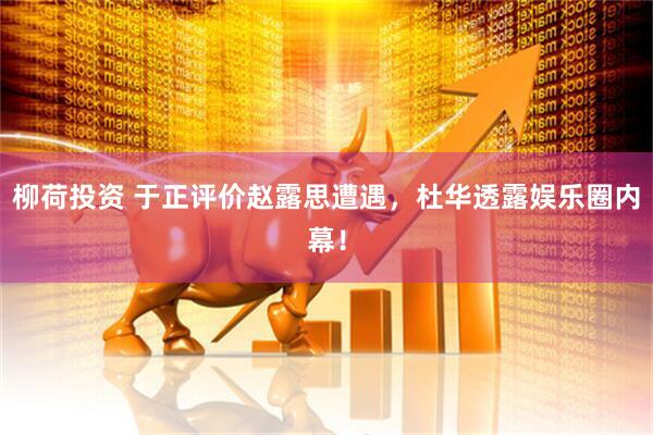 柳荷投资 于正评价赵露思遭遇，杜华透露娱乐圈内幕！