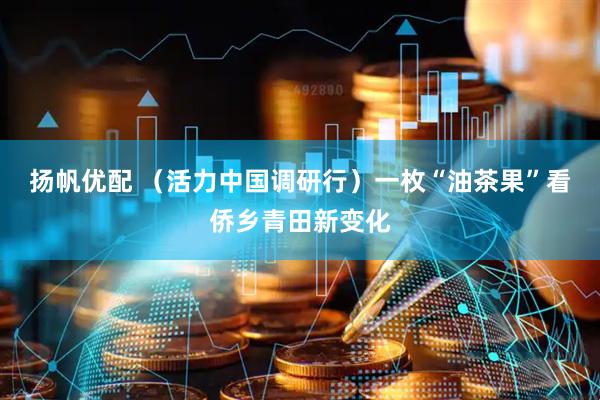 扬帆优配 (活力中国调研行)一枚“油茶果”看侨乡青田新变化