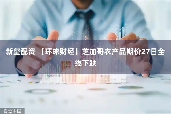 新玺配资 【环球财经】芝加哥农产品期价27日全线下跌