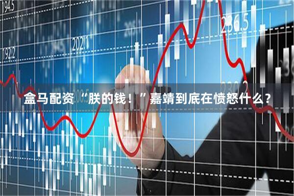 盒马配资 “朕的钱！”嘉靖到底在愤怒什么？