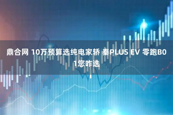 鼎合网 10万预算选纯电家轿 秦PLUS EV 零跑B01您咋选